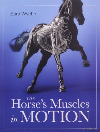 Horse's Muscles in Motion - Sara Wyche [KSIĄŻKA]