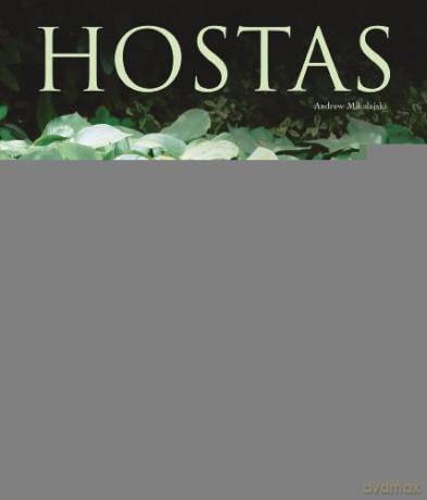 Hostas: An Illustrated Guide to Varieties, Cultivation and Care: an Illustrated Guide to Varieties, Cultivation and Care, with Step-by-step Instructions and More Than 130 Beautiful Photographs - Andrew Mikolajski [KSIĄŻKA]