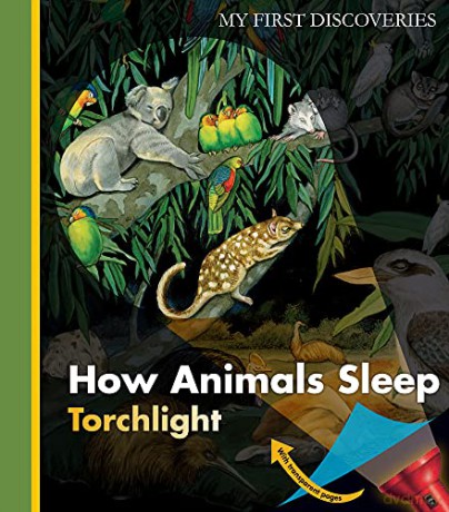 How Animals Sleep (My First Discoveries/Torchlight) - Sylvaine Peyrols [KSIĄŻKA]