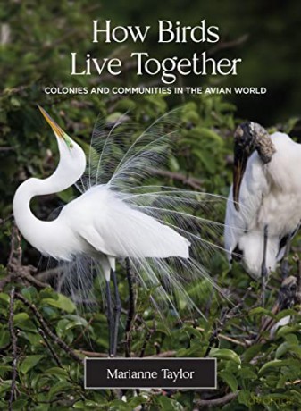 How Birds Live Together: Colonies and Communities in the Avian World - Marianne Taylor [KSIĄŻKA]