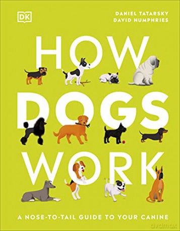 How Dogs Work: A Head-to-Tail Guide to Your Canine - Daniel Tatarsky [KSIĄŻKA]