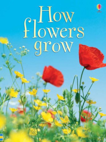 How Flowers Grow: 1 (Beginners) - Emma Helbrough [KSIĄŻKA]