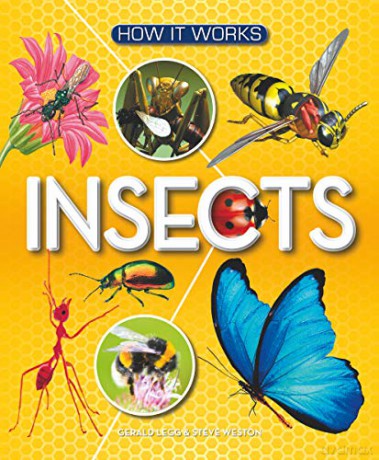 How It Works: Insects - Gerald Legg [KSIĄŻKA]