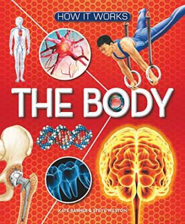 How It Works: The Body - Kate Barnes [KSIĄŻKA]
