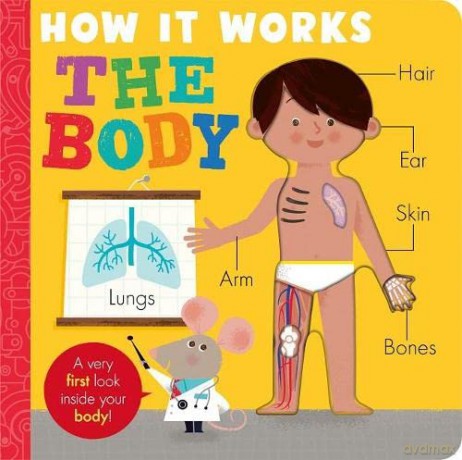 How it Works: The Body: HIW: Body (How it Works, 3) - Amelia Hepworth [KSIĄŻKA]