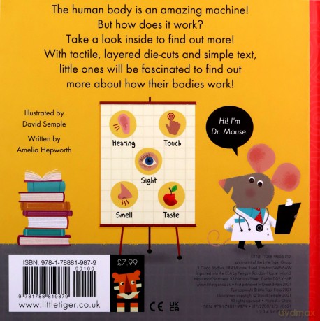 How it Works: The Body: HIW: Body (How it Works, 3) - Amelia Hepworth [KSIĄŻKA]