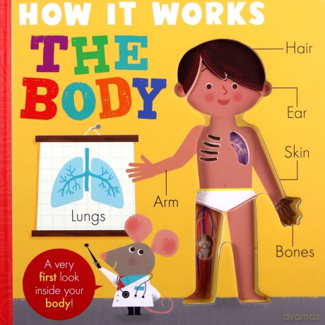 How it Works: The Body: HIW: Body (How it Works, 3) - Amelia Hepworth [KSIĄŻKA]