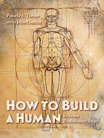 How to Build a Human: In Seven Evolutionary Steps - Pamela S. Turner [KSIĄŻKA]