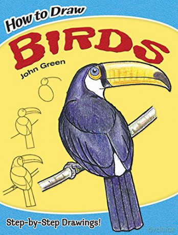 How to Draw Birds (Dover How to Draw) - John Green [KSIĄŻKA]