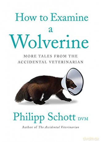 How to Examine a Wolverine: More Tales from the Accidental Veterinarian - Philipp Schott [KSIĄŻKA]