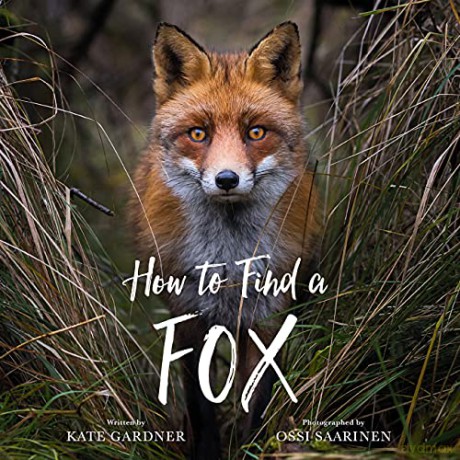 How to Find a Fox - Kate Gardner [KSIĄŻKA]
