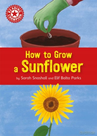 How to Grow a Sunflower: Independent Reading Non-fiction Red 2 (Reading Champion) - Sarah Snashall [KSIĄŻKA]