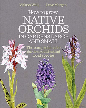 How to Grow Native Orchids in Gardens Large and Small: The Comprehensive Guide to Cultivating Local Species - W. J. Wall [KSIĄŻKA]