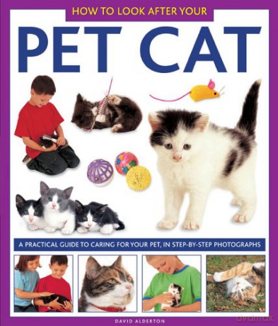 How to Look After Your Pet Cat: A Practical Guide to Caring for Your Pet, in Step-By-Step Photographs - David Alderton [KSIĄŻKA]
