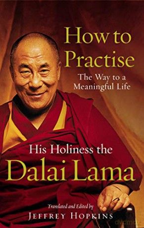 How To Practise: The Way to a Meaningful Life - Dalai Lama [KSIĄŻKA]