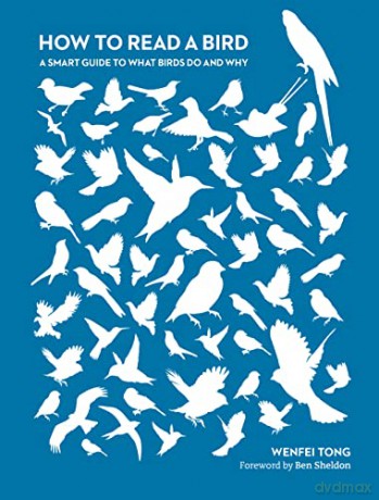 How to Read a Bird: A Smart Guide to What Birds Do and Why - Dr Wenfei Tong [KSIĄŻKA]
