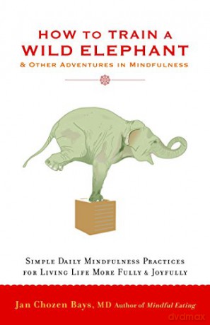 How to Train a Wild Elephant: And Other Adventures in Mindfulness - Jan Chozen Bays [KSIĄŻKA]