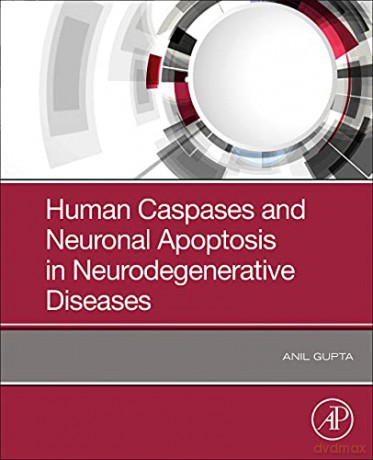 Human Caspases and Neuronal Apoptosis in Neurodegenerative Diseases - Anil Gupta [KSIĄŻKA]