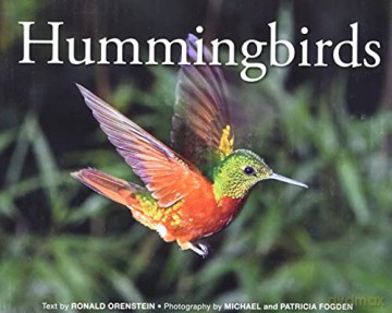Hummingbirds - Ronald Orenstein [KSIĄŻKA]