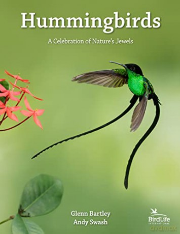 Hummingbirds: A Celebration of Nature's Jewels: 27 (WILDGuides, 87) - Glenn Bartley [KSIĄŻKA]