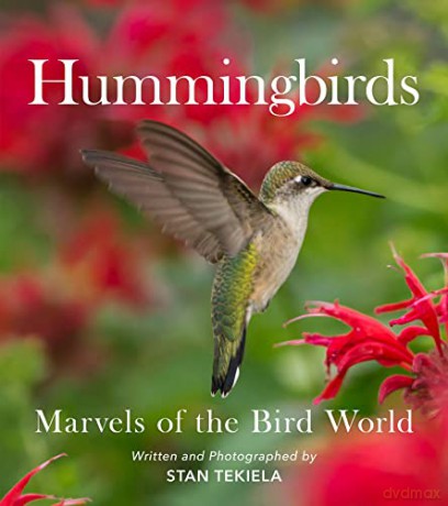 Hummingbirds: Marvels of the Bird World (Favorite Wildlife) - Stan Tekiela [KSIĄŻKA]