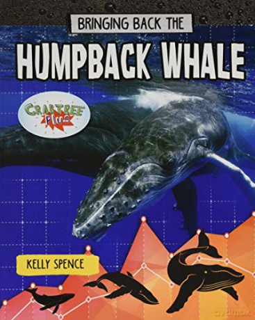Humpback Whale: Bringing Back The (Animals Back from the Brink) - Paula Smith [KSIĄŻKA]