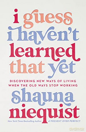 I Guess I Haven't Learned That Yet: Discovering New Ways of Living When the Old Ways Stop Working - Niequist [KSIĄŻKA]