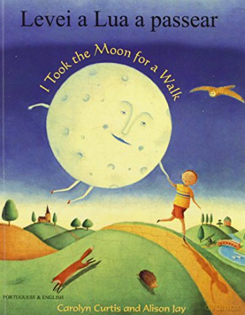 I Took the Moon for a Walk - Alison Jay [KSIĄŻKA]