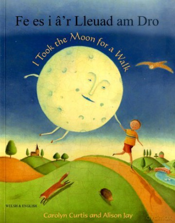 I Took the Moon for a Walk - Carolyn Curtis [KSIĄŻKA]