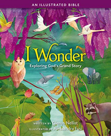 I Wonder: Exploring God's Grand Story: an Illustrated Bible - Glenys Nellist [KSIĄŻKA]