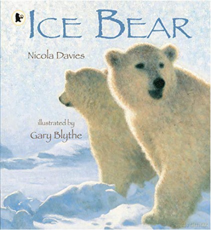 Ice Bear - Nicola Davies [KSIĄŻKA]