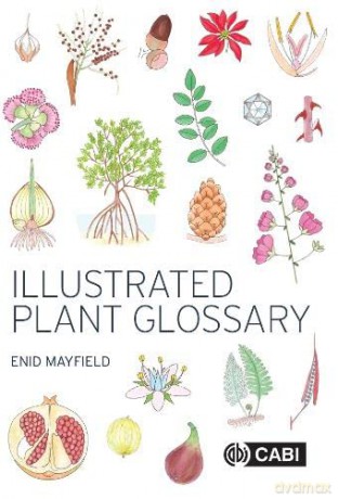 Illustrated Plant Glossary - Enid Mayfield [KSIĄŻKA]