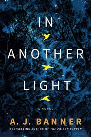 In Another Light: A Novel - A. J. Banner [KSIĄŻKA]