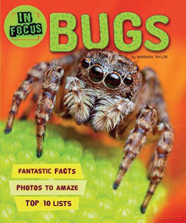 In Focus: Bugs (In Focus, 4) - Kingfisher [KSIĄŻKA]