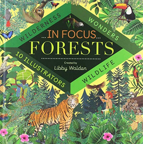 In Focus: Forests - Libby Walden [KSIĄŻKA]