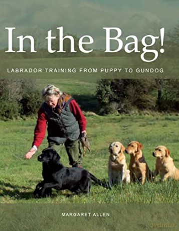 In the Bag!: Labrador Training from Puppy to Gundog - Margaret Allen [KSIĄŻKA]