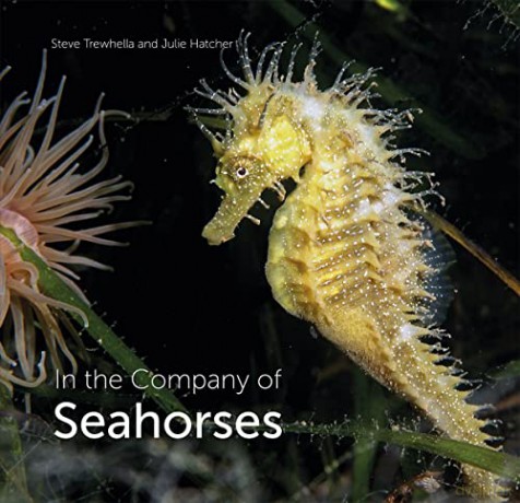 In the Company of Seahorses: 32 (Wild Nature Press) - Steve Trewhella [KSIĄŻKA]