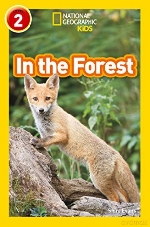 In the Forest: Level 2 (National Geographic Readers) - Shira Evans [KSIĄŻKA]