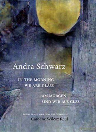 In the morning we are glass - Andra Schwarz [KSIĄŻKA]