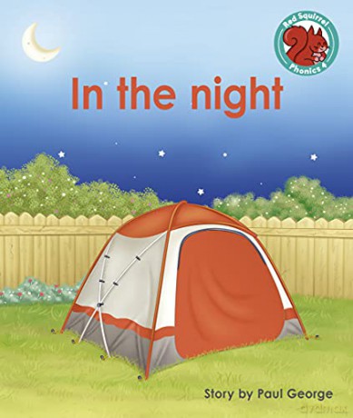 In the night (Red Squirrel Phonics Level 4) - Paul George [KSIĄŻKA]