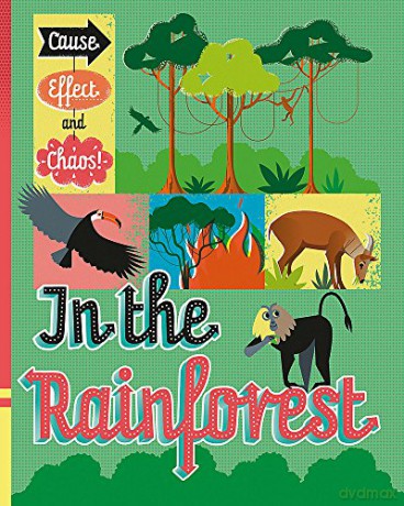 In the Rainforest - Paul Mason [KSIĄŻKA]