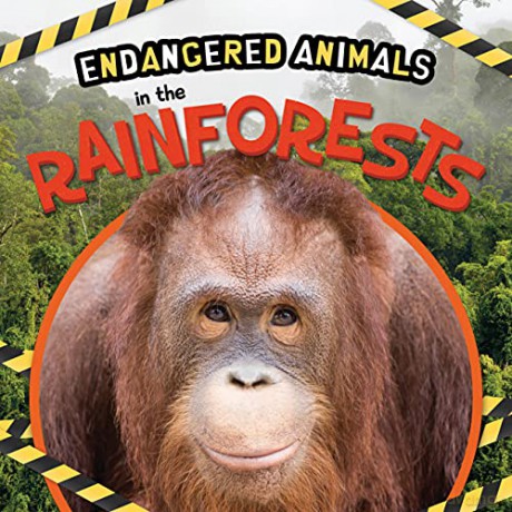 In the Rainforests (Endangered Animals) - Emilie Dufresne [KSIĄŻKA]