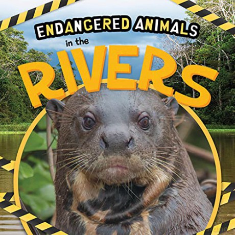 In the Rivers (Endangered Animals) - Emilie Dufresne [KSIĄŻKA]