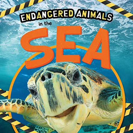 In the Sea (Endangered Animals) - Emilie Dufresne [KSIĄŻKA]
