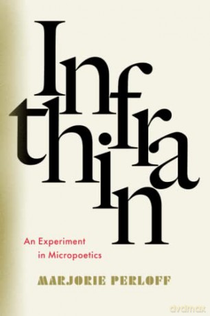 Infrathin: An Experiment in Micropoetics - Marjorie Perloff [KSIĄŻKA]