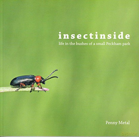 Insectinside: Life in the Bushes of a Small Peckham Park [KSIĄŻKA]