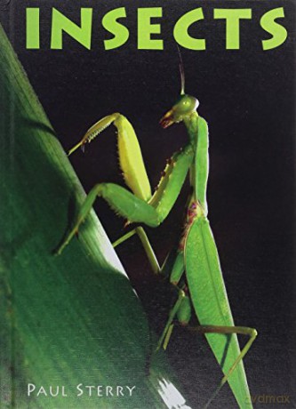 Insects (Exploring Nature) - Paul Sterry [KSIĄŻKA]