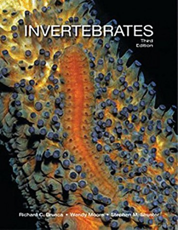 Invertebrates - Brusca R. [KSIĄŻKA]
