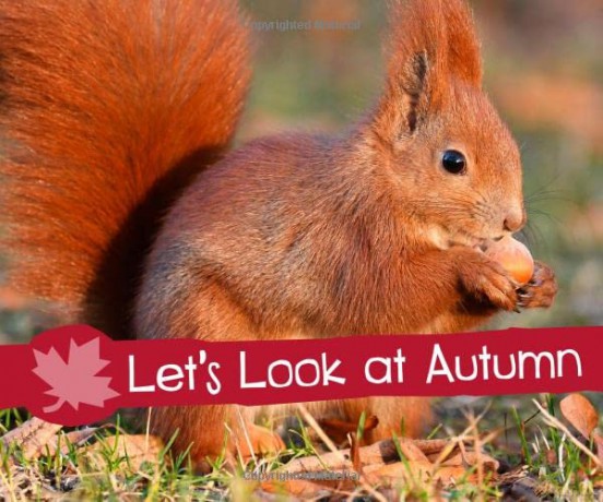 Investigate the Seasons: Let's Look at Autumn - Sarah L. Schuette [KSIĄŻKA]