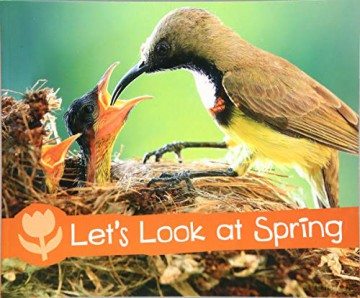 Investigate the Seasons: Let's Look at Spring - Sarah L. Schuette [KSIĄŻKA]